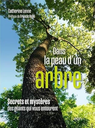 Couverture de Dans la peau d’un arbre