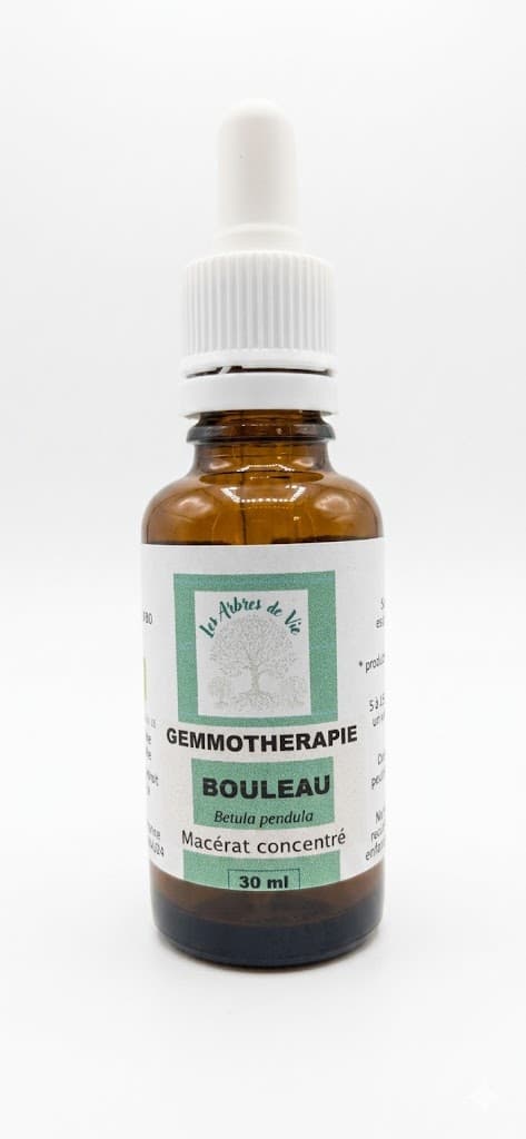 Bouleau Verruqueux — Macérats Unitaires bio Les Arbres de Vie