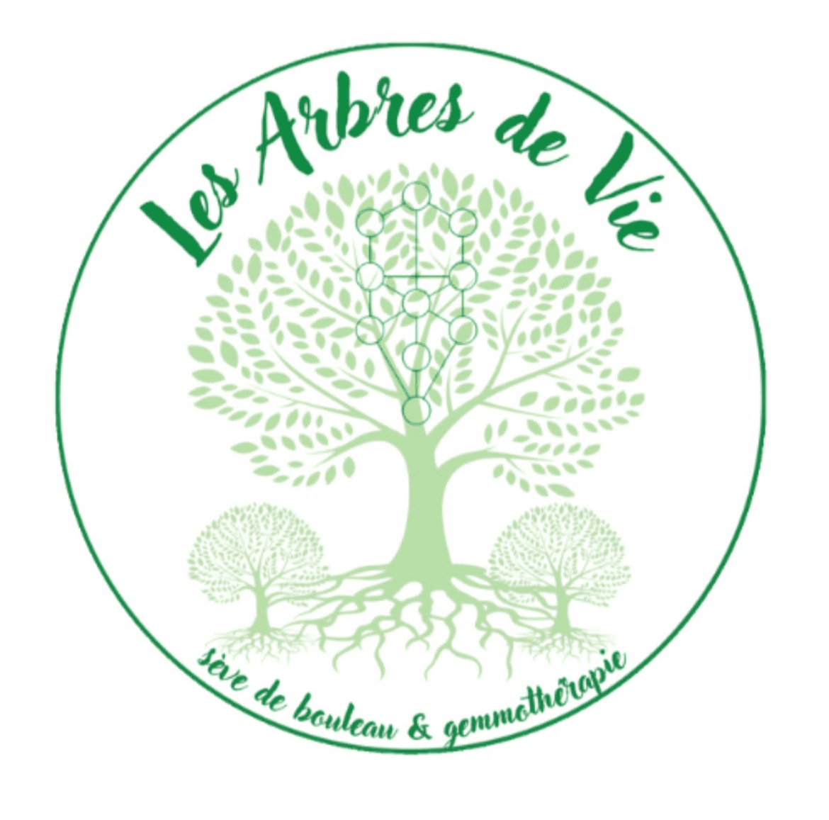Logo Les Arbres de Vie