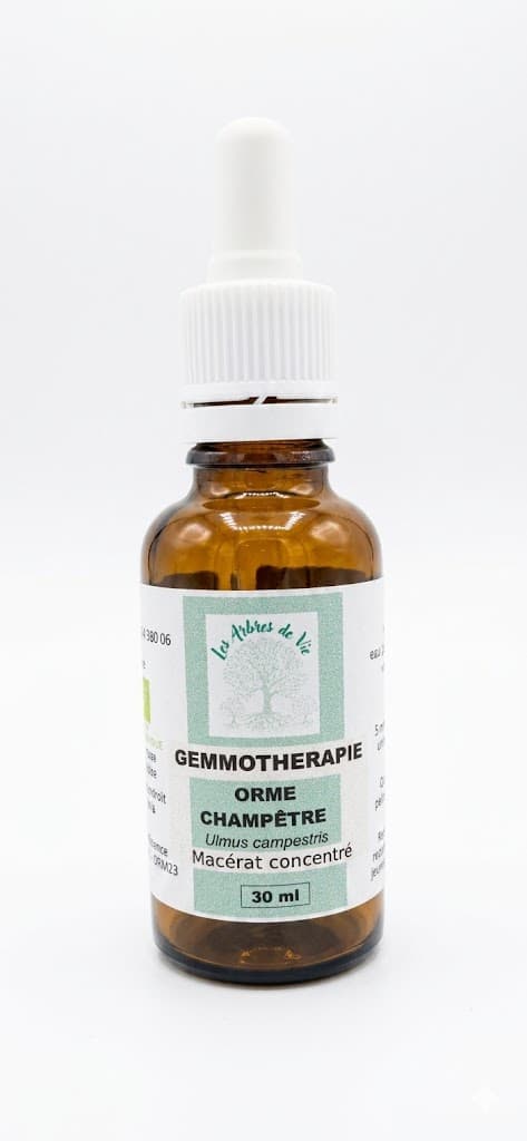 Orme champêtre — Macérats Unitaires bio Les Arbres de Vie